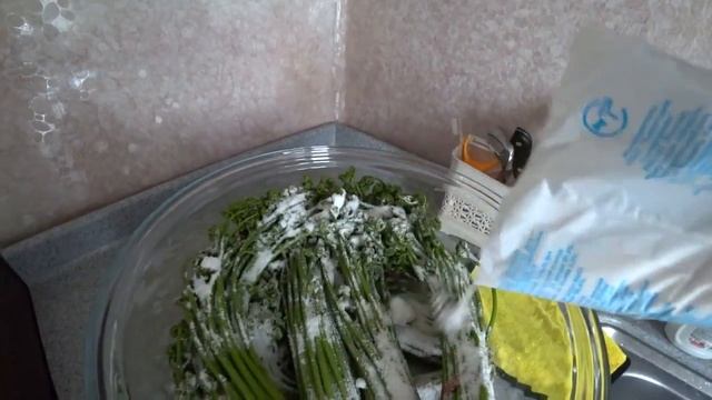 Чем заняться в городе НАХОДКА / Живи, Пой, Ешь папоротник... смотреть онлайн