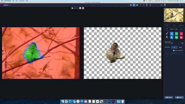 Topaz Mask AI: First Impressions for Bird Photography смотреть онлайн
