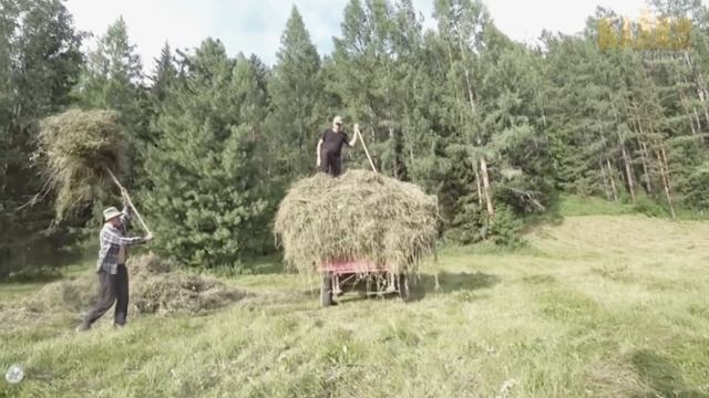 В деревне живет настоящий оборотень, который мстит людям за свое жилище смотреть онлайн