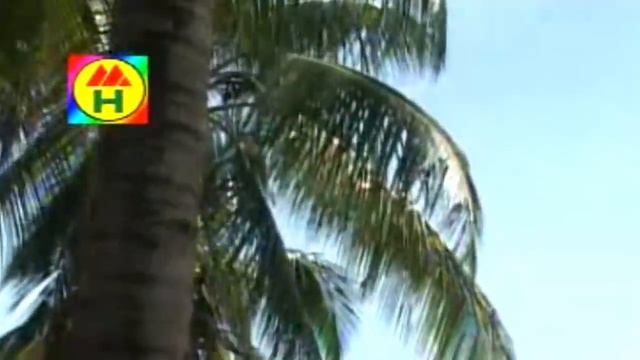 Parikshit Bala - Chaarjonate Kande Koira | চারজনেতে কান্দে কইরা | Hindu Religious Song