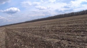 Горох вместо рапса. Прямой посев сеялкой Дон 114.