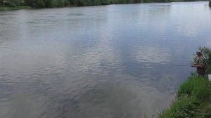Ловля густеры и подлещика на поплавок Cralusso Bolo
