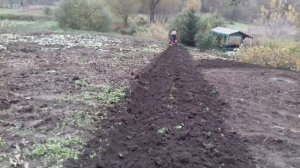 МТЗ 132Н пахота самодельным плугом 2