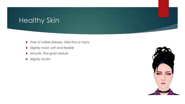 Know the Anatomy of the Skin смотреть онлайн