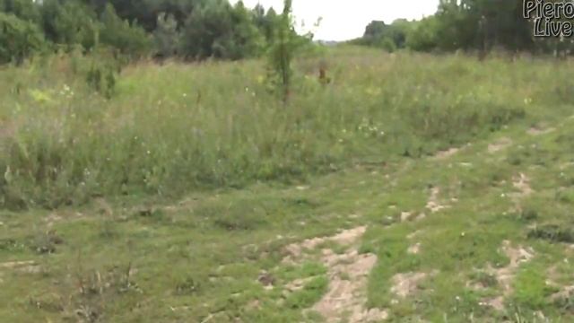 один день из моей жизни/блог/влог/работа/прогулка\ смотреть онлайн