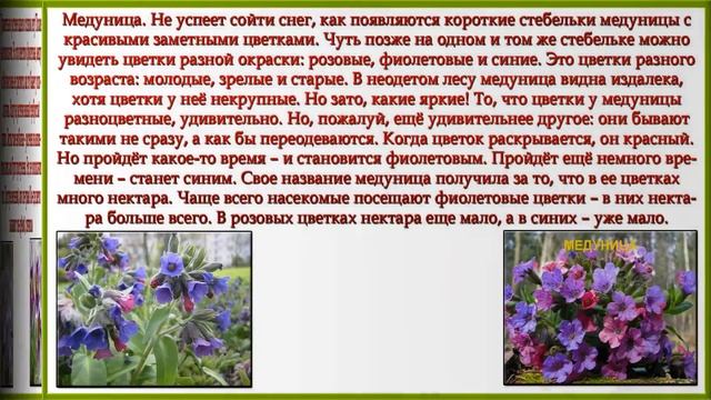 Какие растения весной цвести торопятся 1 класс пнш презентация смотреть онлайн