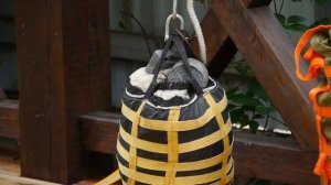 Тренажер ПравИло на грузах.