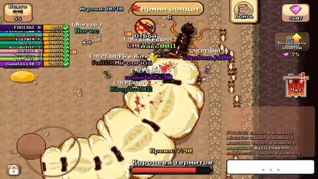 КООПЕРАТИВНАЯ БИТВА С КЛАНОМ В ГНЕЗДЕ ТЕРМИТОВ | POCKET ANTS #03 смотреть онлайн