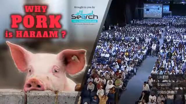 Pork Haram In Islam Best Answer By Zakir Nike