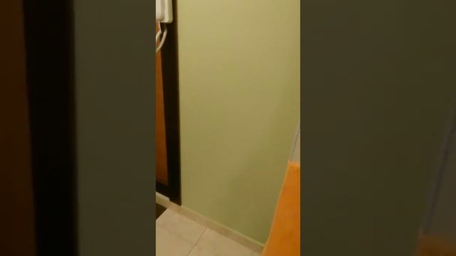 Ремонт кухни и коридора в однокомнатной квартиры жилого дома серии П-44Т смотреть онлайн