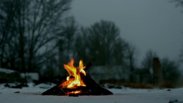 "МОИ СОСЕДИ СТРАННО СЕБЯ ВЕДУТ" - Страшные истории на ночь смотреть онлайн