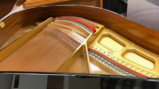 Kansas City Store Closing Piano Sale - Featured Pianos! смотреть онлайн
