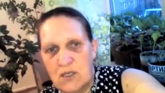 Инкубатор ЗОЛУШКА на 45 яиц. Как я приспособилась в работе с ним. смотреть онлайн