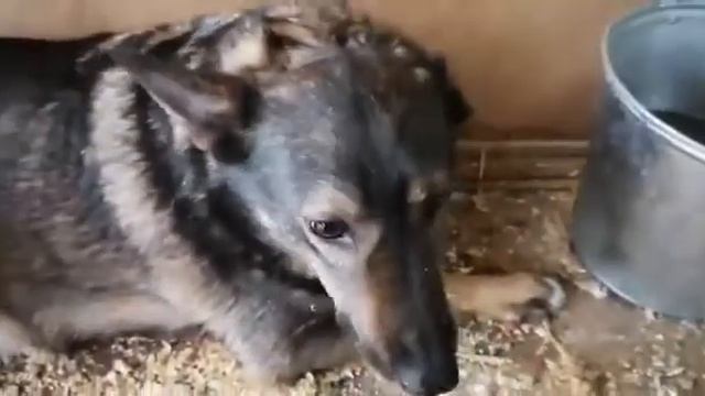 Булка повышенной калорийности смотреть онлайн
