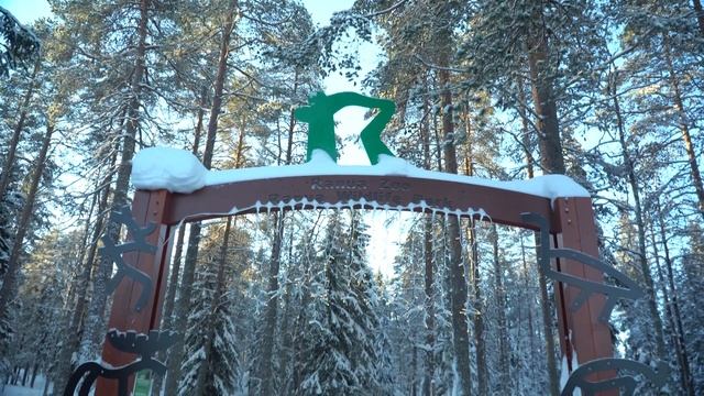 МИРОВОЙ ВОЯЖ 2202. Финляндия. Лапландия зимой смотреть онлайн