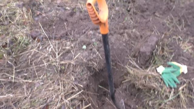 Нашёл царскую медаль. смотреть онлайн