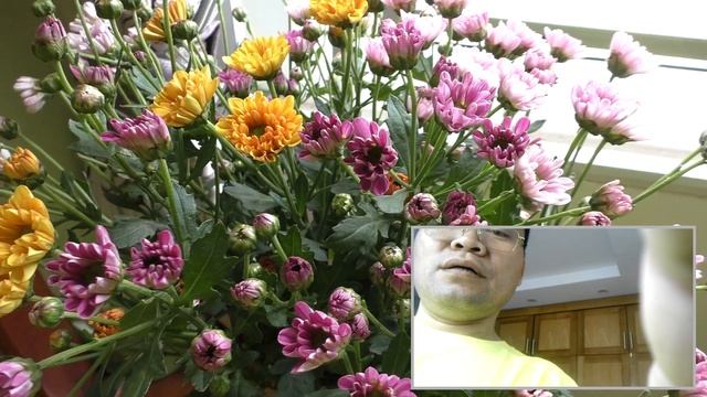 Panasonic HC-W858/W850: kiểm tra (test) смотреть онлайн