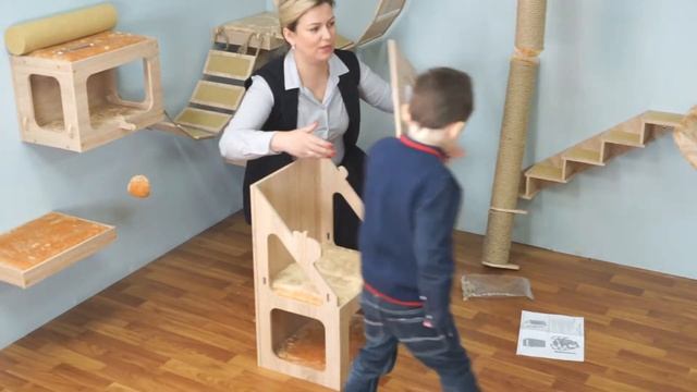 Настенный комплекс для животных "Паркур" смотреть онлайн