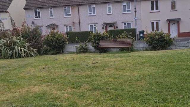 Честный отзыв./ Моё мнение./ Vileda.Turbo Smart.