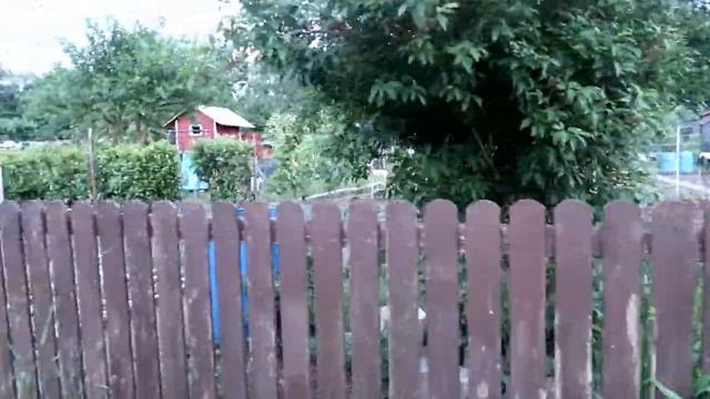 VLOG: Обзор Мини ДАЧНЫХ УЧАСТКОВ в Австрии за 250 евро в год! смотреть онлайн