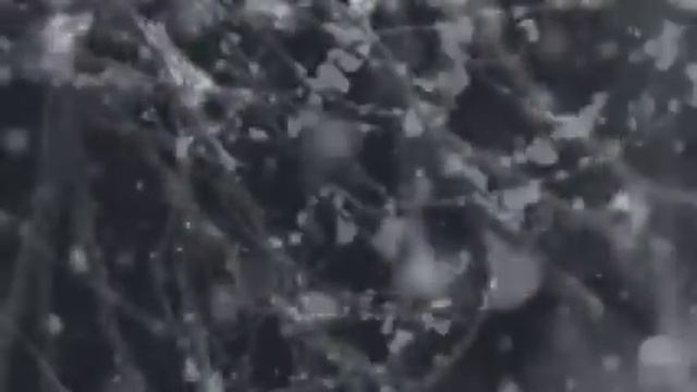 Кашин-Свешников Сергей "Снег ложится за окошком" стихи Павел Ломакин смотреть онлайн