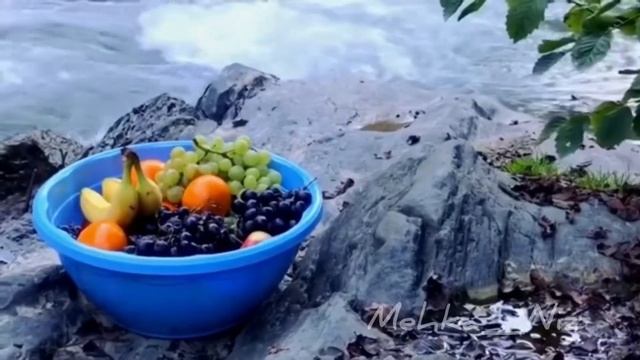 Ингушетия Кавказ