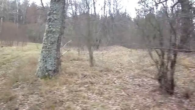 Вершок -хутор Белевичей 30-е 50-е года. смотреть онлайн