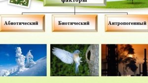 ЭКОЛОГИЯ КАК НАУКА