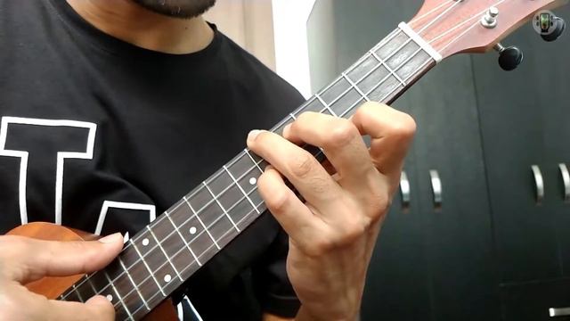 CABALLO VIEJO Simon Diaz Arr. Leo Baeza (Ukulele Fingerstyle ) + PDF смотреть онлайн