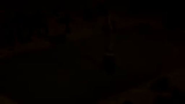 Hilfe Fuer Venezolanische Flamenco-Taenzerin Valeska Lozada!