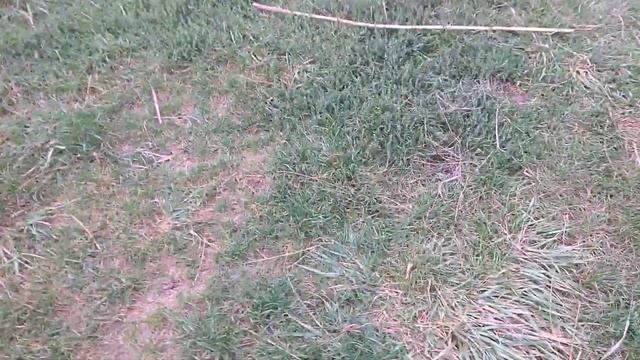 Рыбалка на озере Карпенко Днепропетровск смотреть онлайн