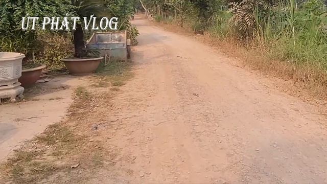 Máy Quay Handycam HDR-CX535 Làm Vlog Cực Ngon смотреть онлайн