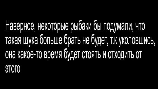 Щука-монстр чуть не вырвала спиннинг из рук! Мощная поклёвка щуки смотреть онлайн