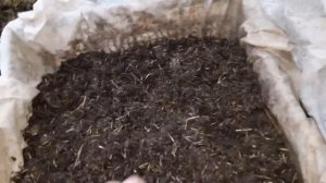 МОЯ ФЕРМА по разведению червей. КАРТОН,,пробный субстрат для ДЕНДРОБЕНЫ"