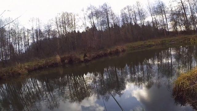 Рыбалка в Беларуси - Рыбалка осенью в ноябре на реке - Рыбалка осенью на плотву смотреть онлайн