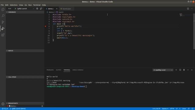 Debugging parent-child fork programs written in C using VSCode смотреть онлайн
