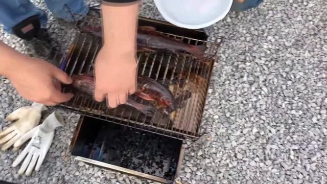 Мастерство в Искусстве