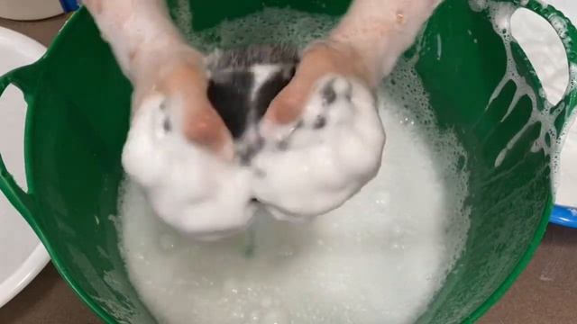 【ASMR】rinsing? clay-like sponge?粘土みたいになったスポンジすすぎます? смотреть онлайн