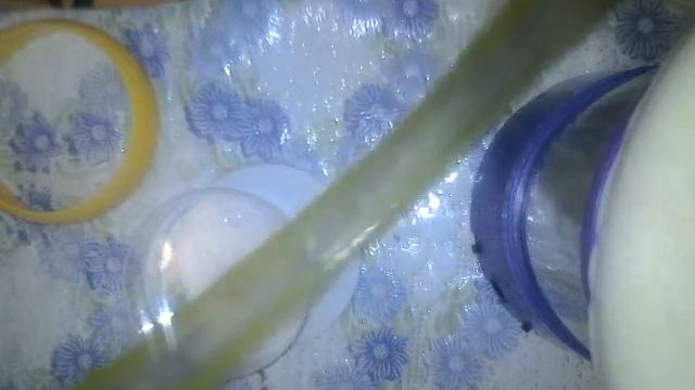 Лизун гавно смотреть онлайн