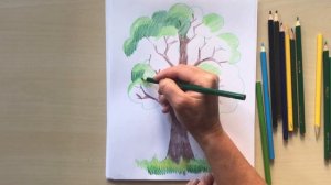 Как нарисовать летнее дерево цветными карандашами. Рисуем вместе с Наталкой Барвинок #урок_рисовани