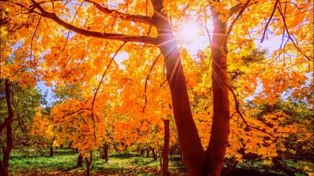 ШЕПЧУТСЯ ЛИСТЬЯ Поэзия Марина САМСОНОВА смотреть онлайн