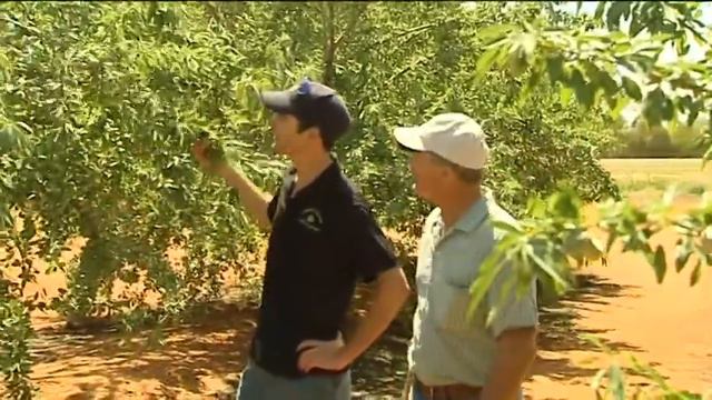 Almond Co Thursday 22 December 2011 смотреть онлайн