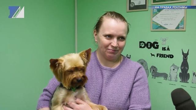 Кто такой грумер? смотреть онлайн