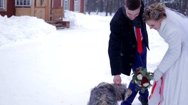Наталья и Максим. Промо ролик свадебной прогулки. смотреть онлайн
