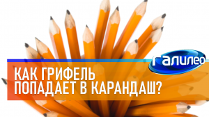 Галилео | 0013 ✏ Как грифель попадает в карандаш?
