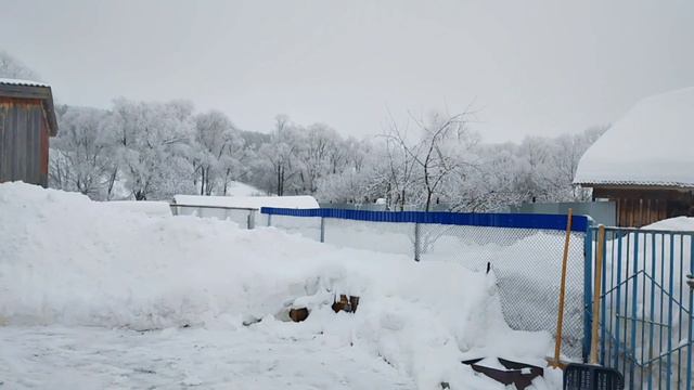 Эх , зимушка зима #зимниекрасоты смотреть онлайн