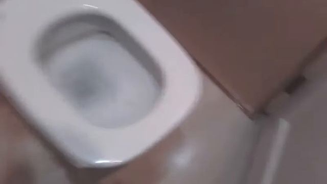 Шоу в туалете