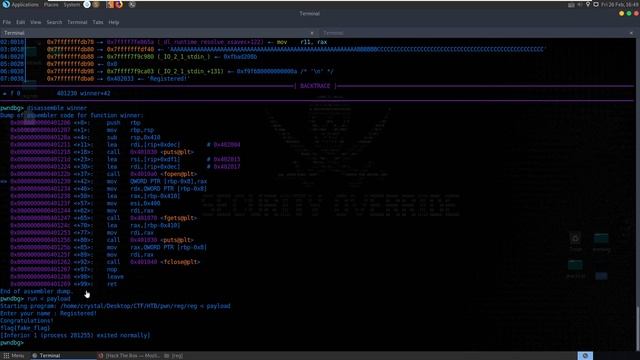 Reg [easy]: HackTheBox Pwn Challenge (ret2win) смотреть онлайн