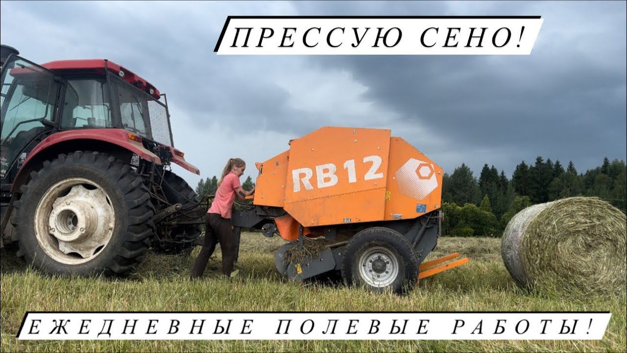Сколько рулонов собрали с первого укоса? Сложили в скирду и накрыли флисом! Хранение сена на ферме! смотреть онлайн