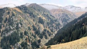 Охота на марала 2023